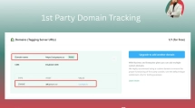 1st party domain tracking